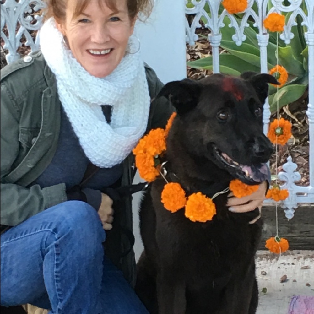 Meet your Posher, Heidi